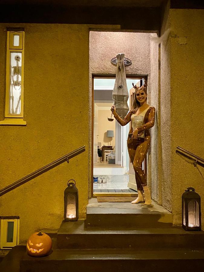 Casa Disa - Dreams, A Boutique Guesthouse In Reykjavik City'S Central Park And Botanical Garden In Laugardalur, Hot-Spring-Valley Εξωτερικό φωτογραφία
