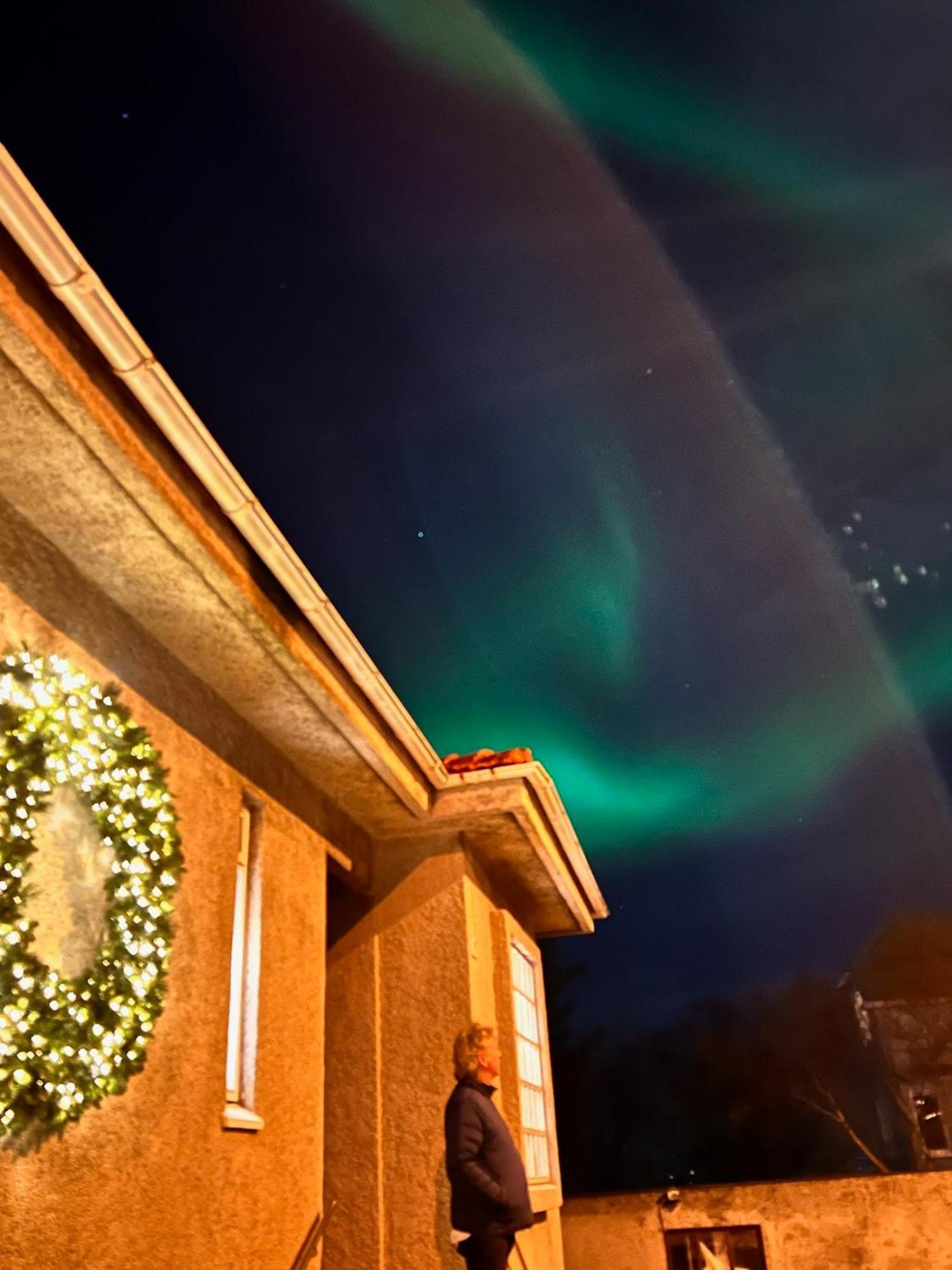 Casa Disa - Dreams, A Boutique Guesthouse In Reykjavik City'S Central Park And Botanical Garden In Laugardalur, Hot-Spring-Valley Εξωτερικό φωτογραφία