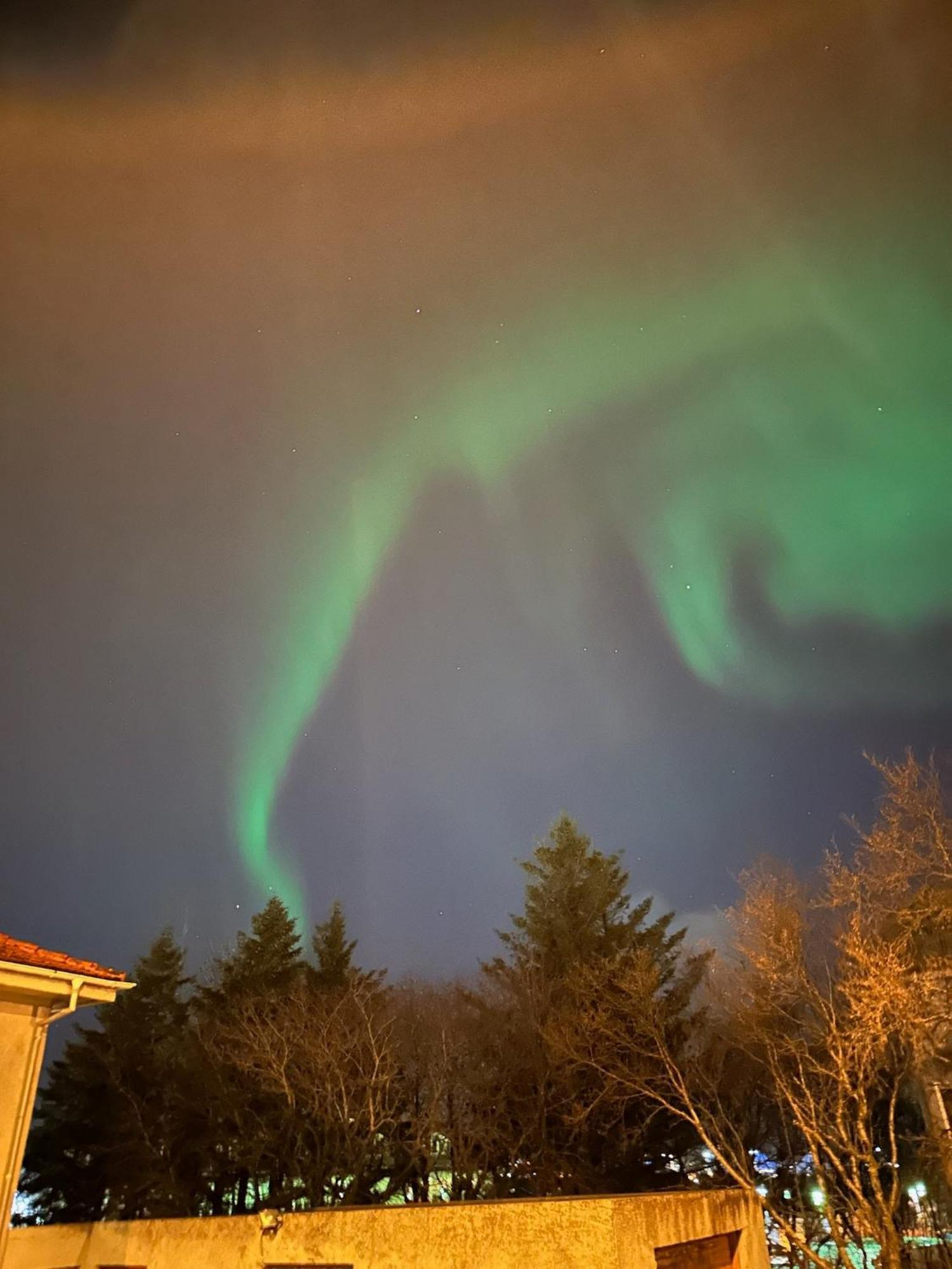 Casa Disa - Dreams, A Boutique Guesthouse In Reykjavik City'S Central Park And Botanical Garden In Laugardalur, Hot-Spring-Valley Εξωτερικό φωτογραφία