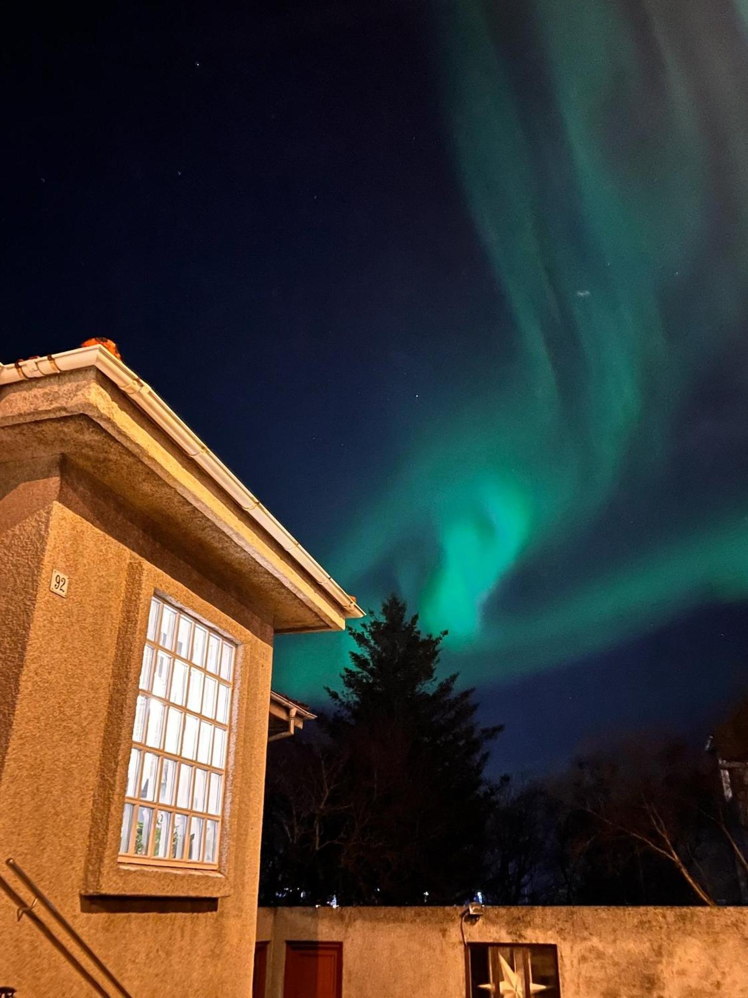 Casa Disa - Dreams, A Boutique Guesthouse In Reykjavik City'S Central Park And Botanical Garden In Laugardalur, Hot-Spring-Valley Εξωτερικό φωτογραφία
