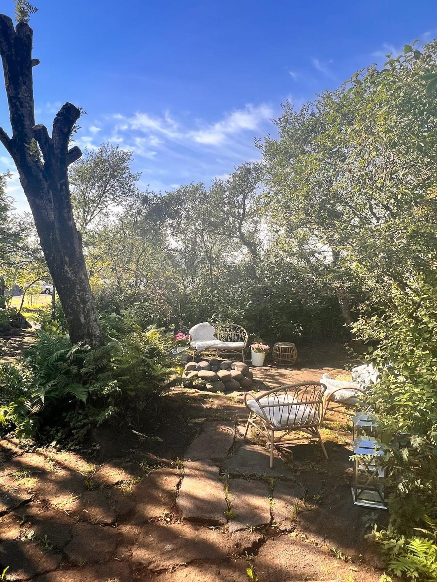 Casa Disa - Dreams, A Boutique Guesthouse In Reykjavik City'S Central Park And Botanical Garden In Laugardalur, Hot-Spring-Valley Εξωτερικό φωτογραφία