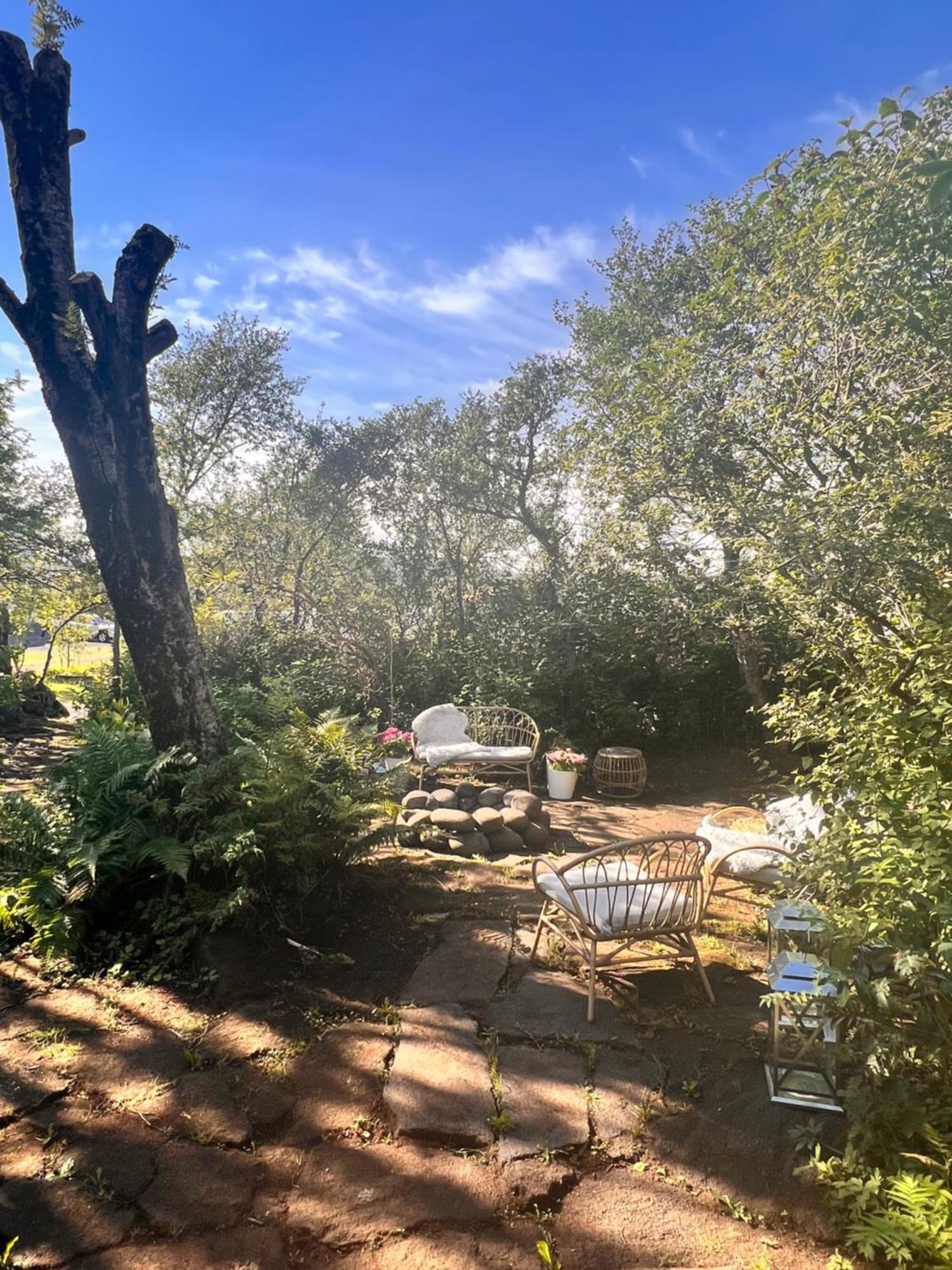 Casa Disa - Dreams, A Boutique Guesthouse In Reykjavik City'S Central Park And Botanical Garden In Laugardalur, Hot-Spring-Valley Εξωτερικό φωτογραφία